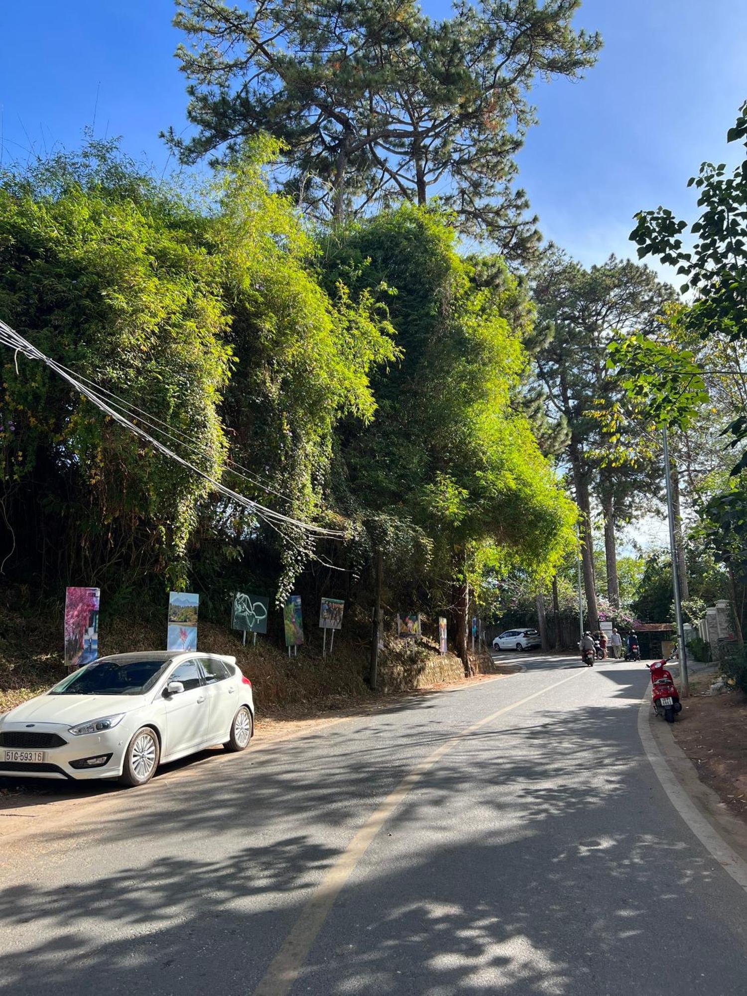 Nature Hotel - Dalat 3 Exterior foto